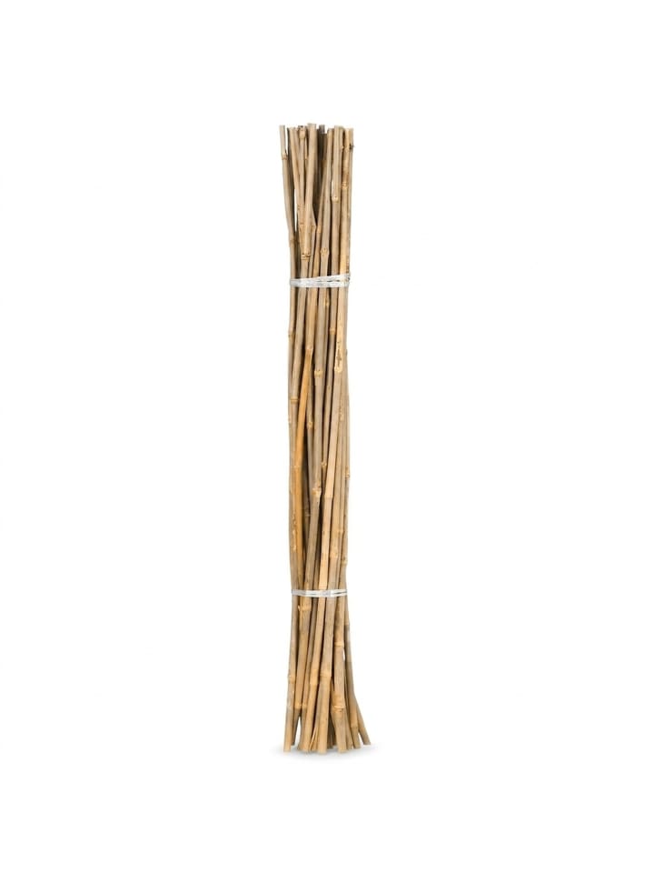 100x Bambusstäbe in Natur - 105 cm