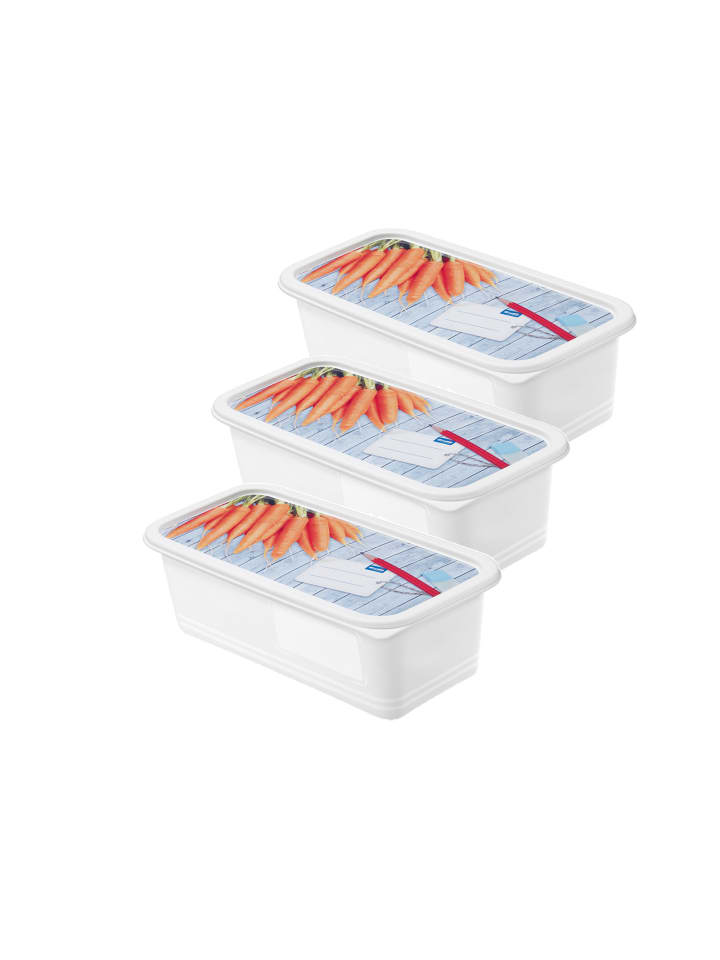 Set Gefrierdosen 3 x 1.2l mit beschriftbarem Deckel in Motiv
