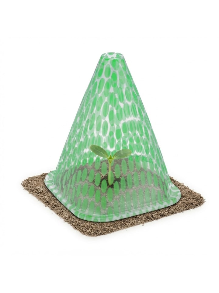 20 x Pflanzenhut in Grün/ Transparent - (B)19 x (H)22 x (T)19 cm