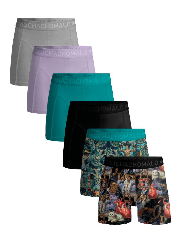 6er-Set: Boxershort in Mehrfarbig - für Herren