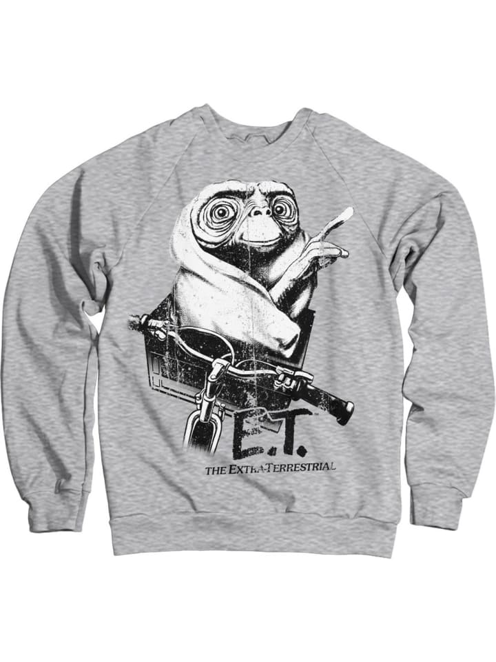 Pullover in Grau