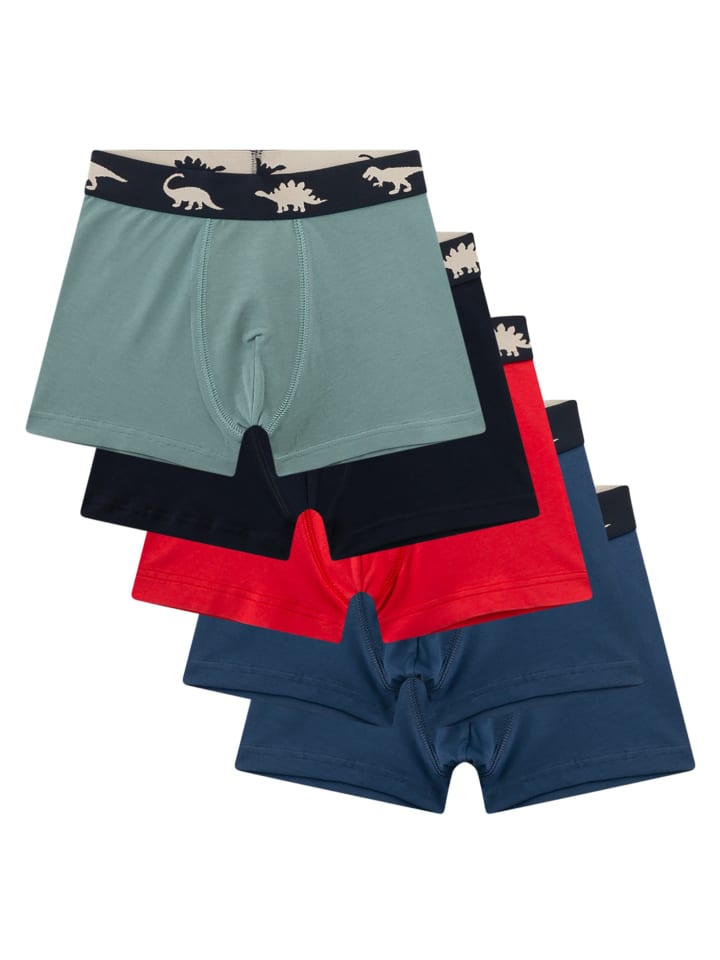 Boxershort 5er Pack in Blau/Schwarz/Grün/Rot