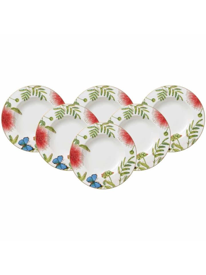 6er Set Suppenteller Amazonia in Bunt ø 24,8 cm
