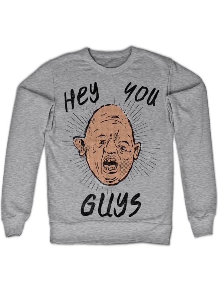 Pullover in Grau