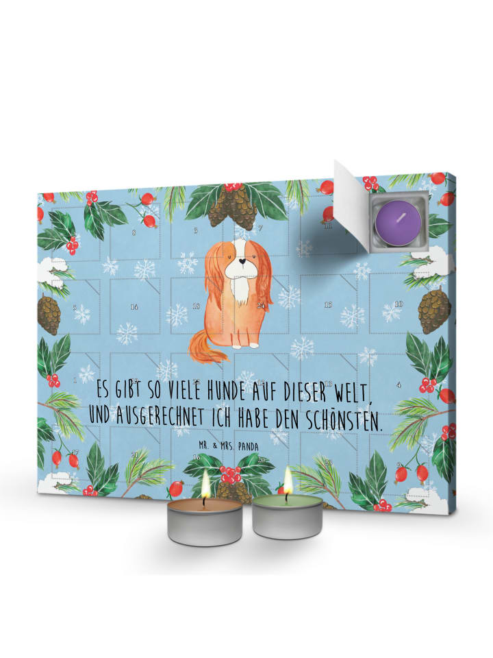Adventskalender Hund Cavalier King Charles Span... in Eisblau