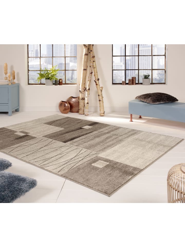 1 Teppich Daffi/YLVA 13068 120-braun 240/340 cm in braun