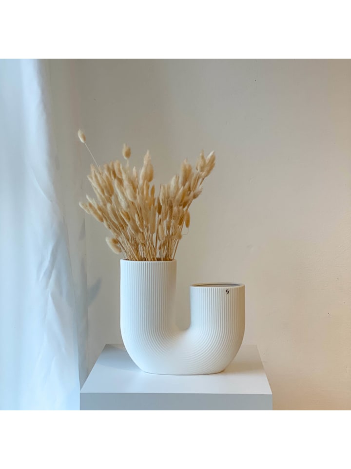 LYKKE & You Trockenblumen Lagurus, Samtgras, Hasenschwanz in Beige - (H) 60 cm günstig kaufen