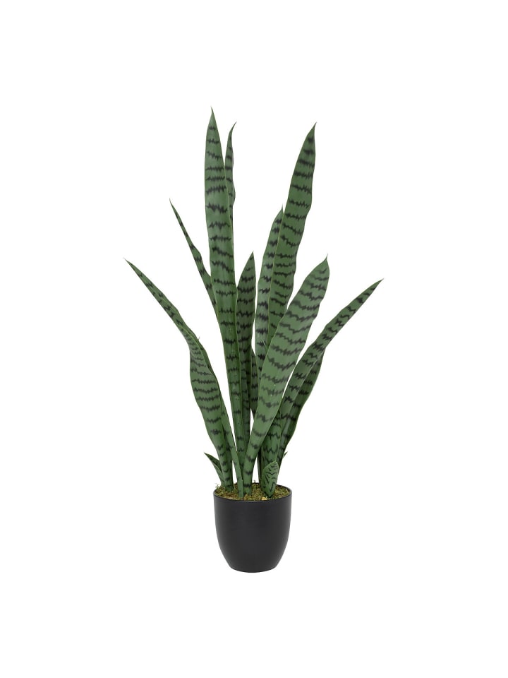 Künstliche Topfpflanze Sansevieria TOBY in Grün, 90 cm