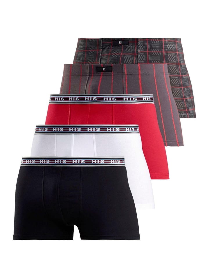 Boxer in rot