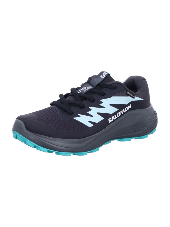 Wanderschuhe Schuhe ALPHAGLIDE GTX W Phantm/Ubnc in Grau