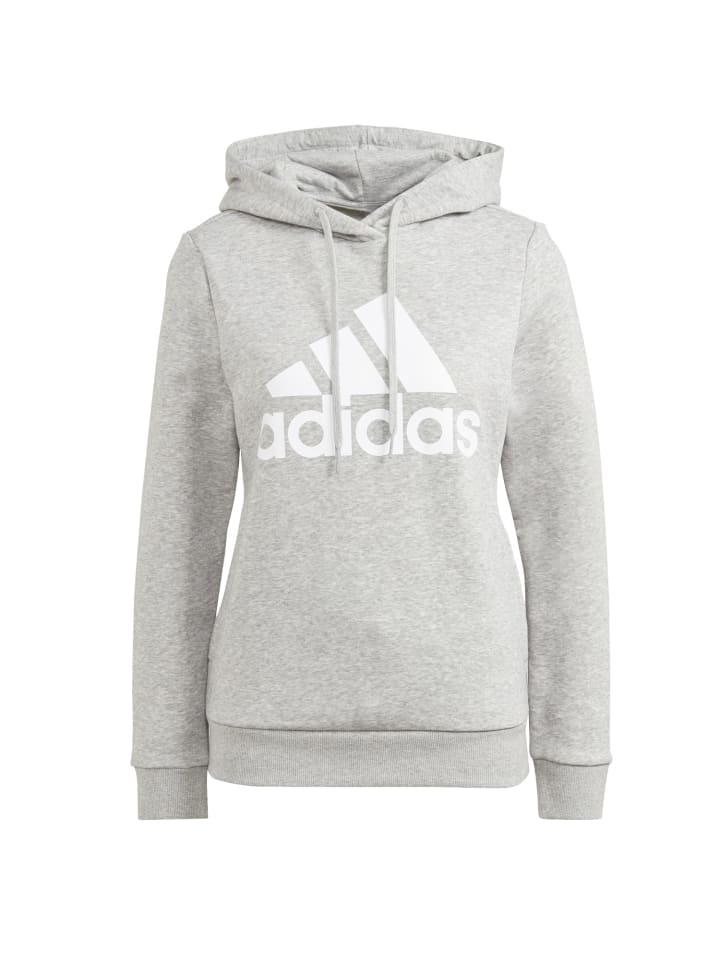 Kapuzenpullover Hoodie in grau