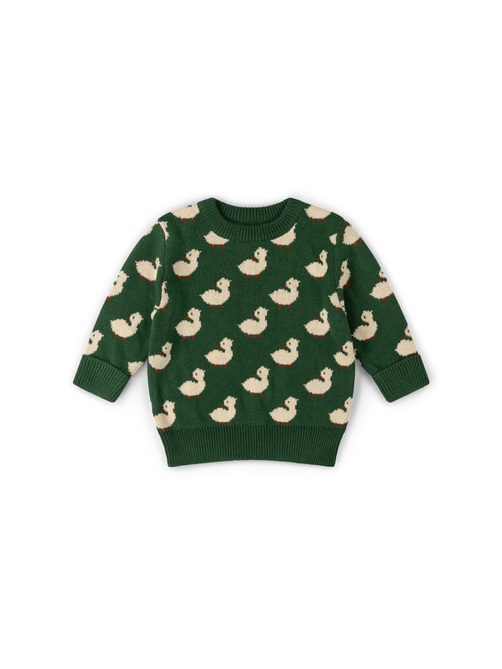 Strickpullover aus Bio-Baumwolle in Grün
