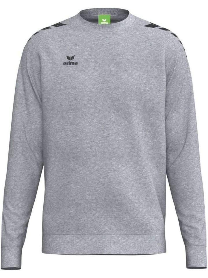 Kinder Sweatshirt "Cmpt Wings Sweatshirt" in Grau
