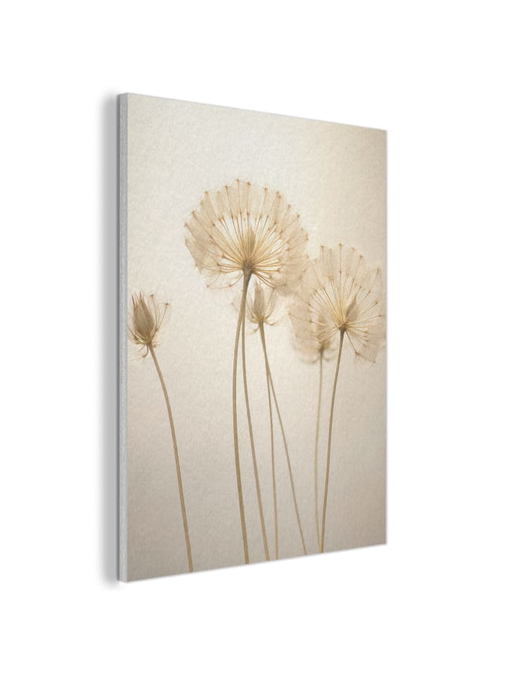 Akustibild Flaum