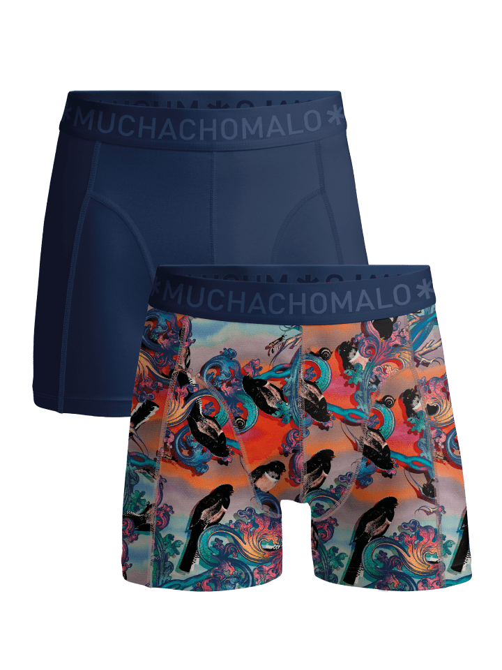 2er-Set: Boxershort in Mehrfarbig - für Herren