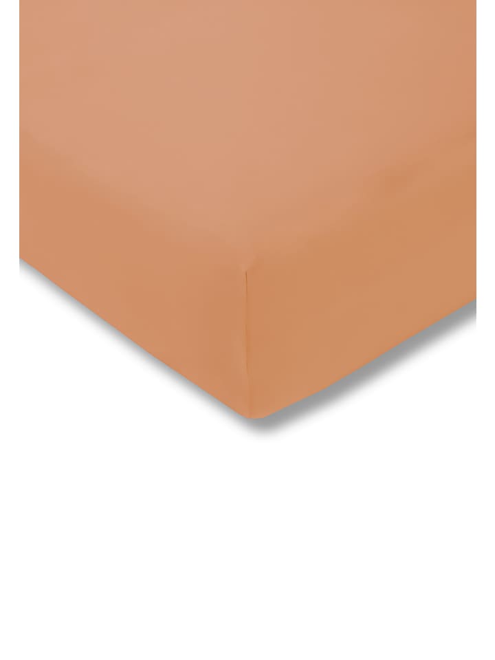 Spannbetttuch Feinjersey in apricot
