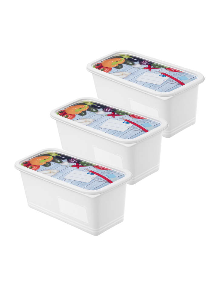 Set Gefrierdosen 3 x 1.5l mit beschriftbarem Deckel in Bunt