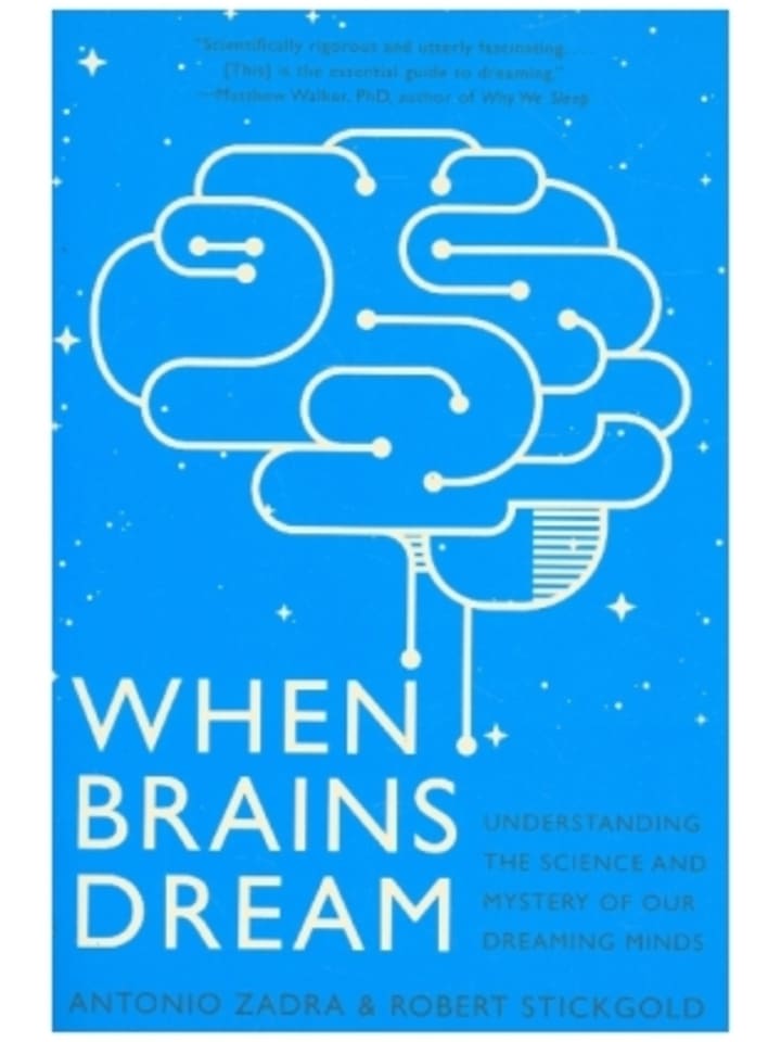 Buch - When Brains Dream - Understanding the Science and Mystery of Our Dreamin