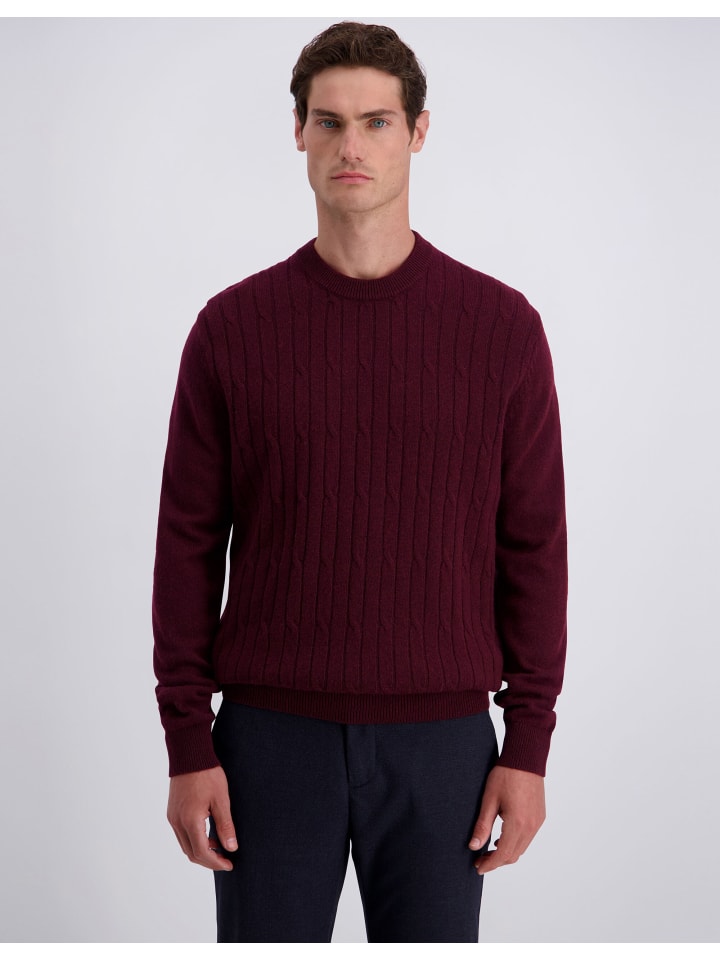 Pullover in Winetasting