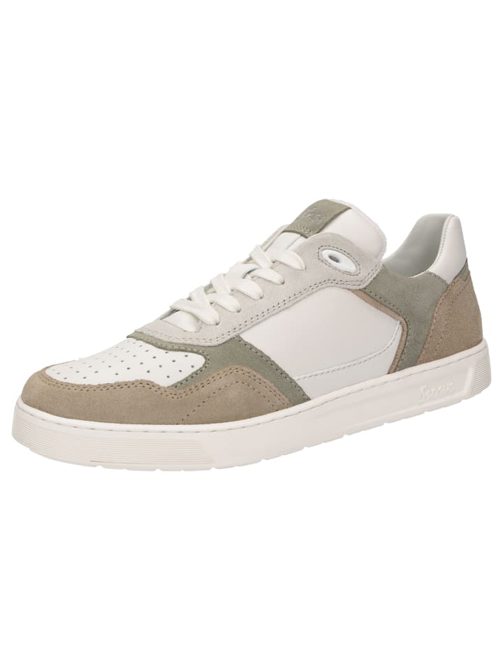 Sneaker Tedroso-704 in grau
