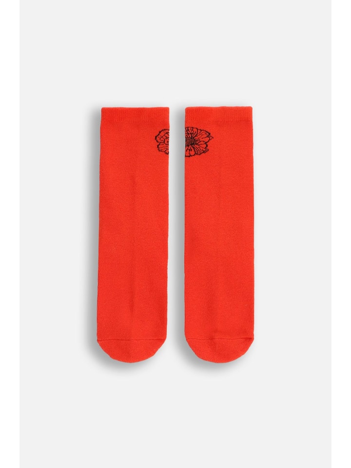 Socken in rot
