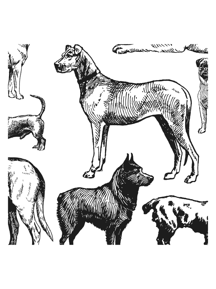 Tapete Hunde in Weiß - (W) 200 × (L) 280 cm