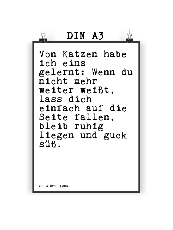 Poster Von Katzen habe ich... mit Spruch in Weiß