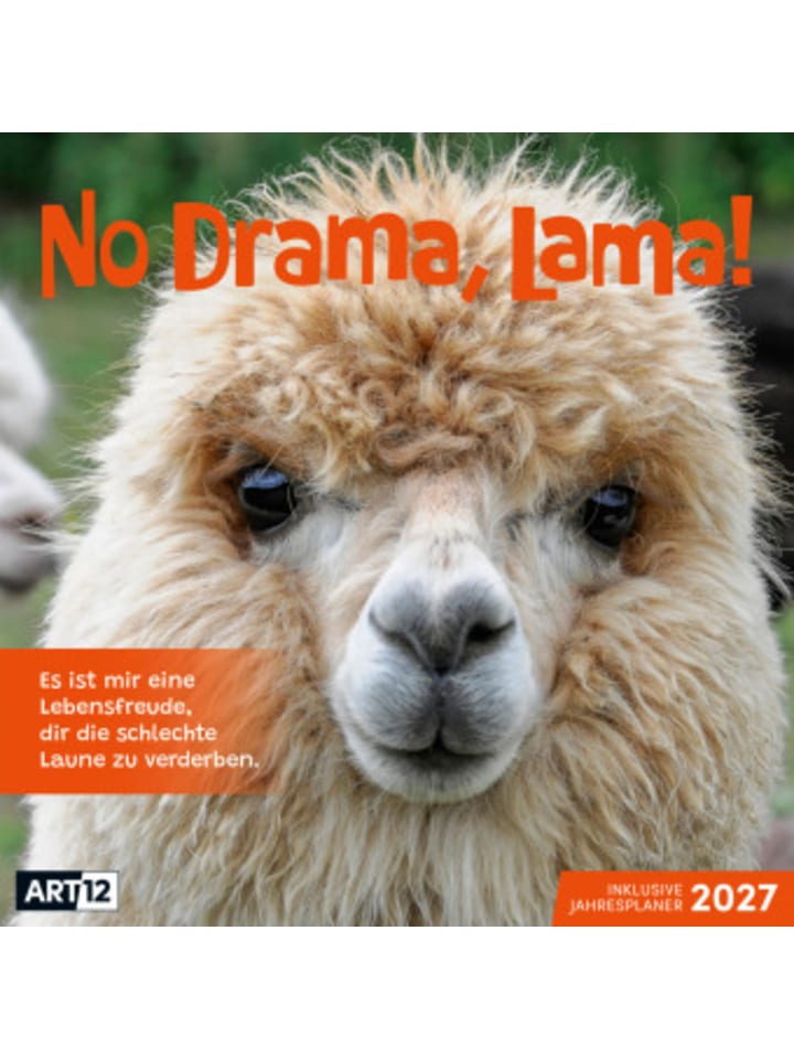 Kalender - No Drama, Lama Kalender 2027 - 30x30 - Art12
