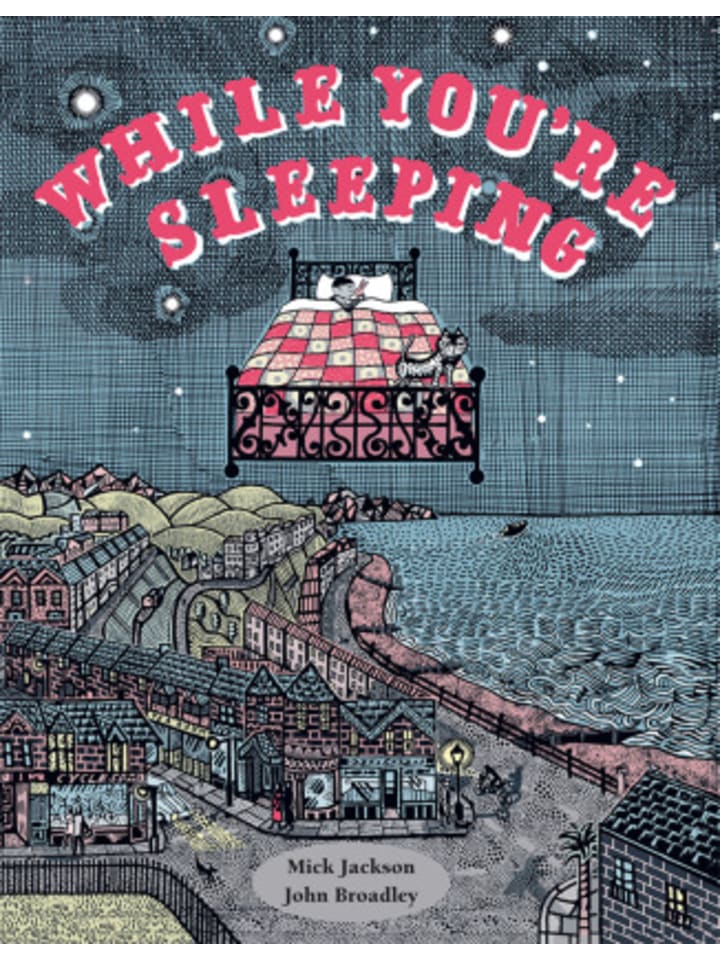 Buch - While You're Sleeping