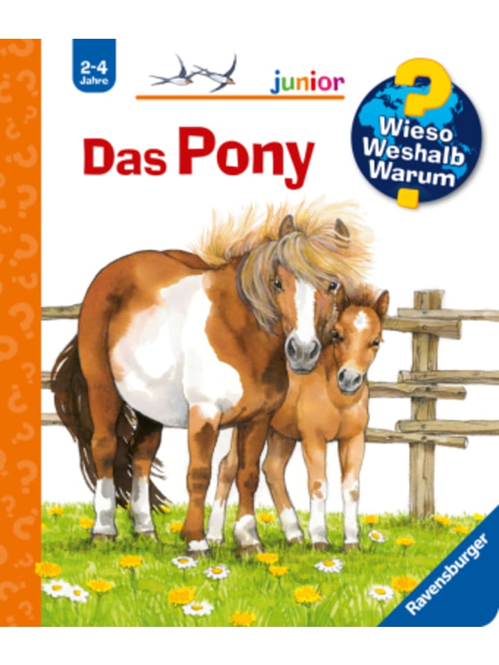 Buch - Wieso? Weshalb? Warum? junior, Band 20 - Das Pony