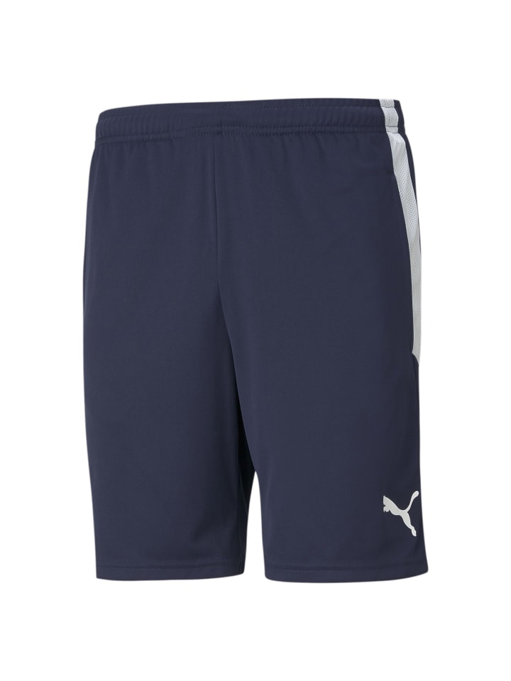 Shorts in Dunkelblau