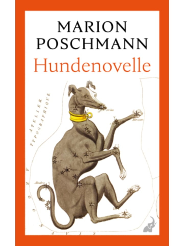 Buch - Hundenovelle