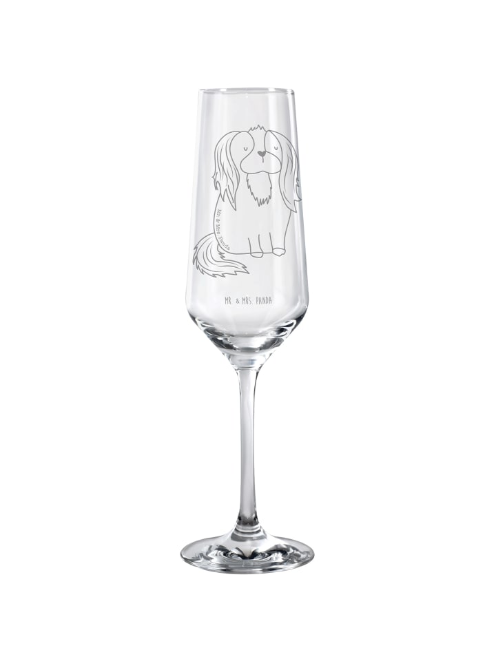 Sektglas Hund Cavalier King Charles Spaniel ohn... in Transparent