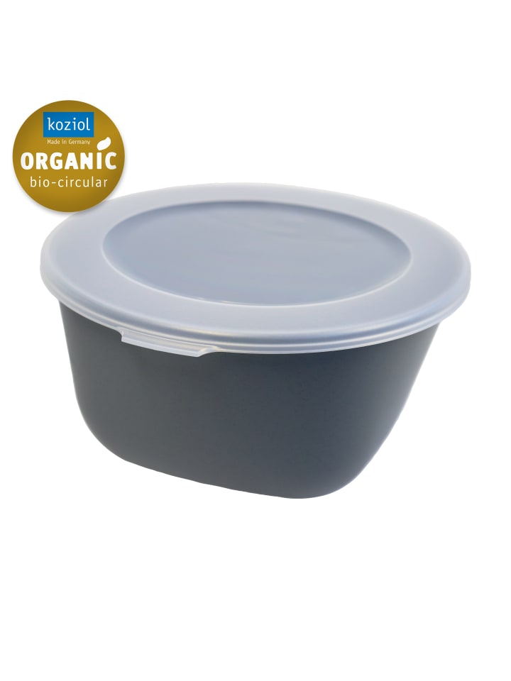 CONNECT BOX 2 - Box mit transparentem Deckel 2l in nature ash grey