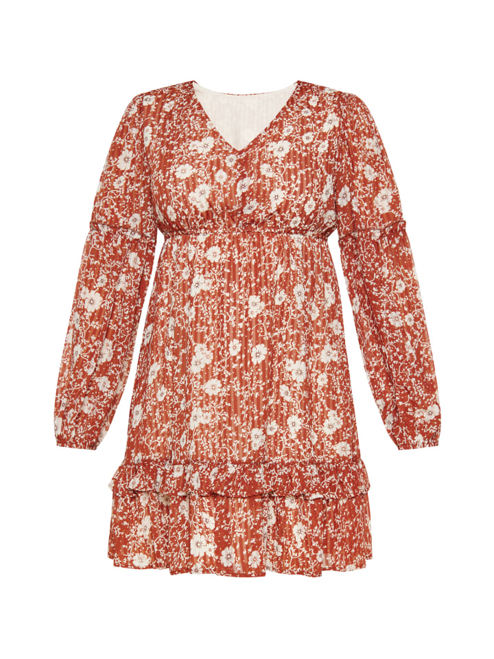 Women Dress in brown