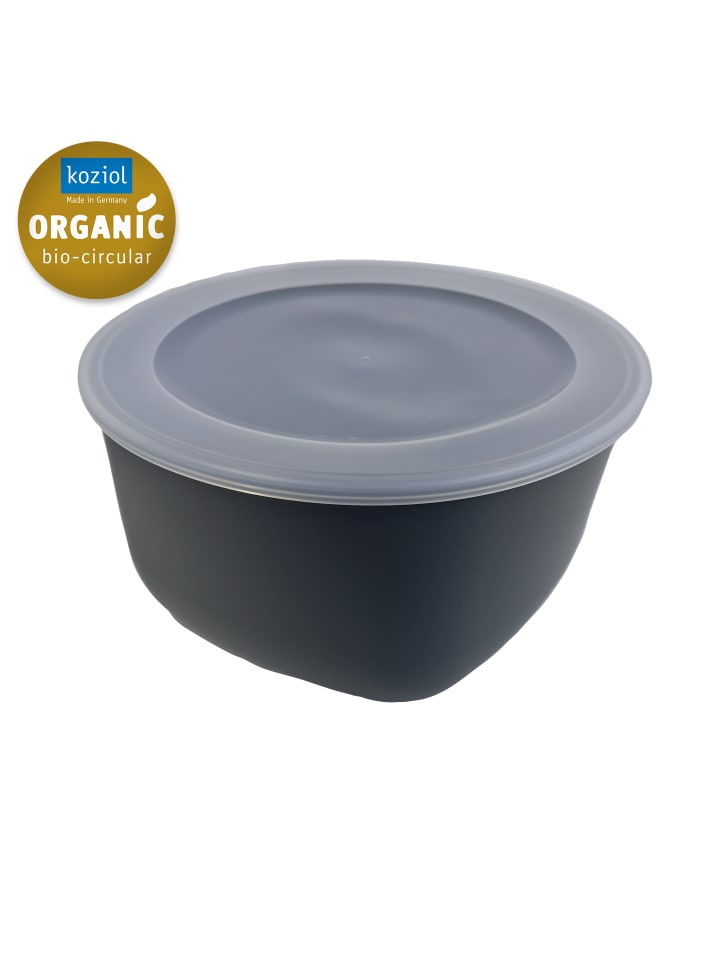CONNECT BOX 4 - Box mit transparentem Deckel 4l in nature ash grey