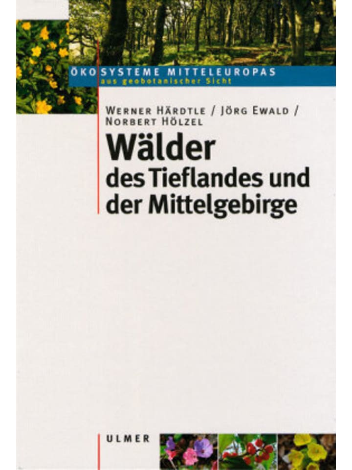Buch - Wälder des Tieflandes und der Mittelgebirge