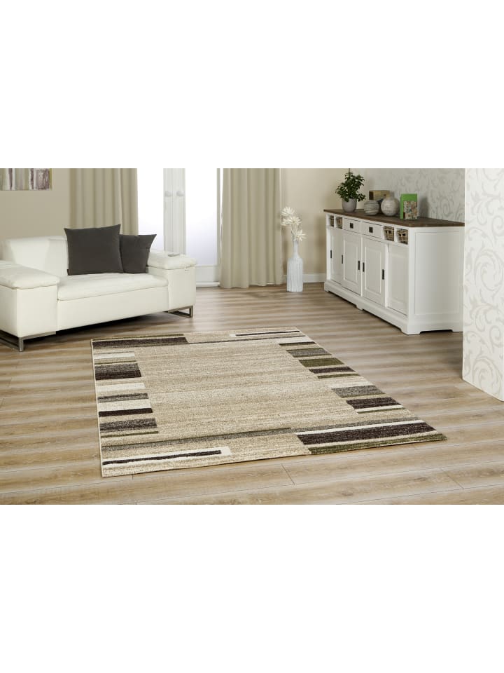 1 Teppich Amber 149 Bordüre beige-grün 240/330 cm in beige grün