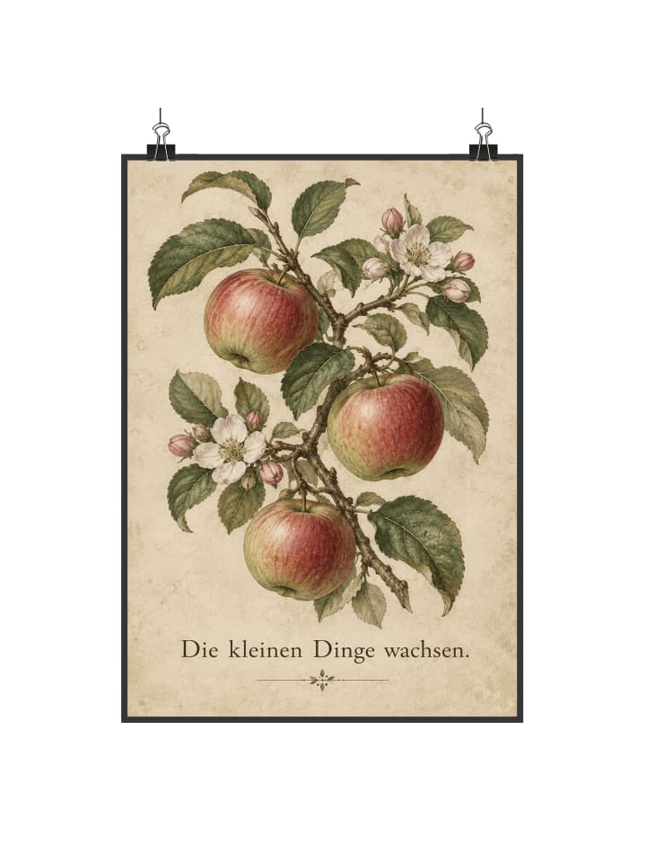 Plakat Apfel botanisch Design mit Spruch in Weiß