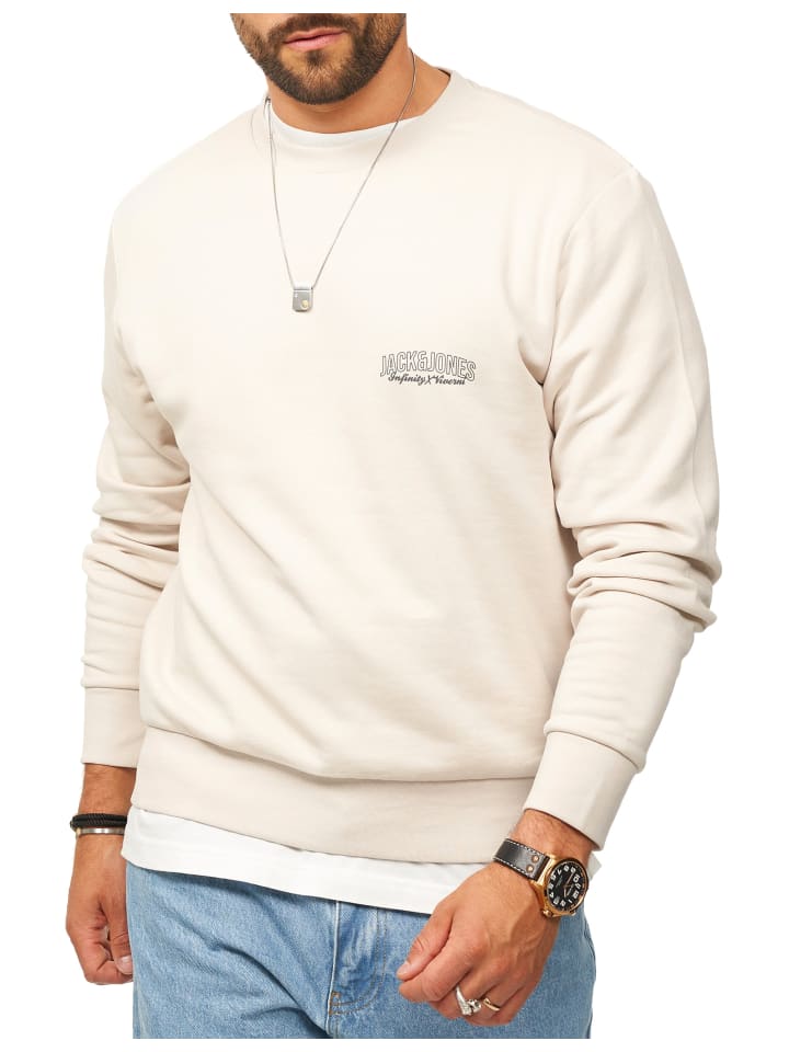 INFINITY SWEAT CREW NECK - Pullover in Moonbeam