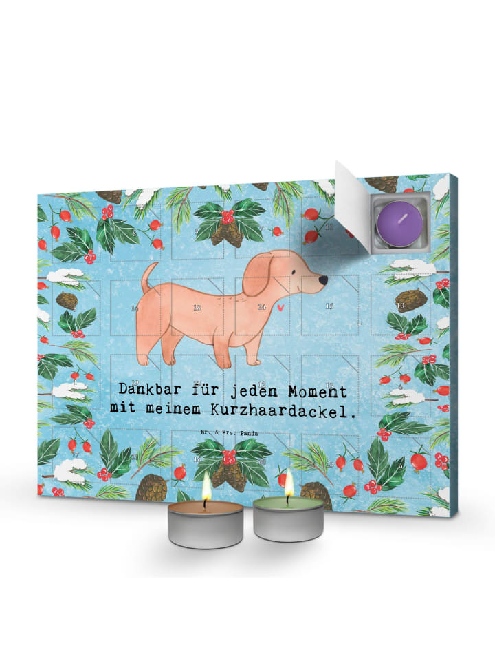 Adventskalender Dackel Kurzhaardackel Moment mi... in Eisblau
