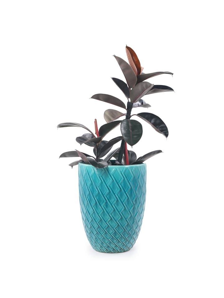 Pflanztopf in Cyan 42x54 cm Keramik frostsicher mit Rautenmuster