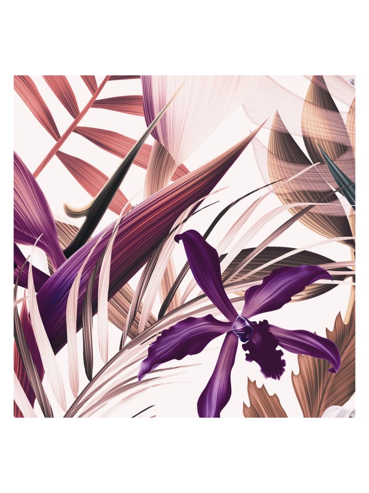 Tapete Tropisch in Rosa - (W) 200 × (L) 280 cm
