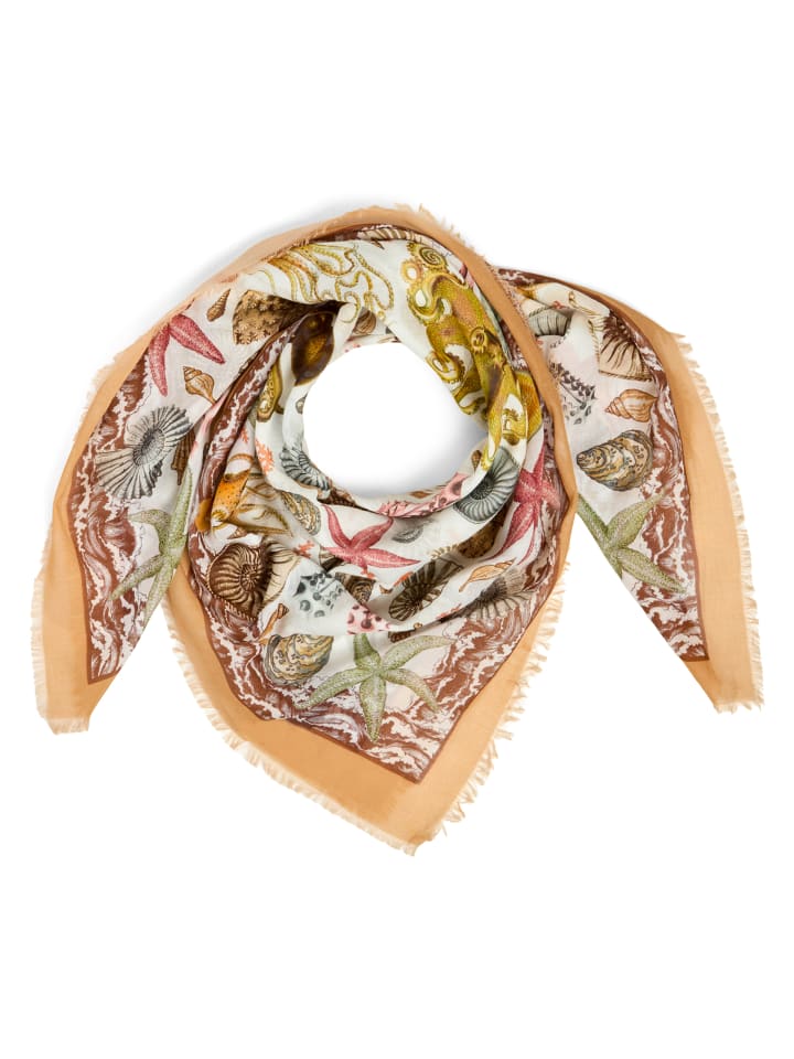Codello in camel - 0001