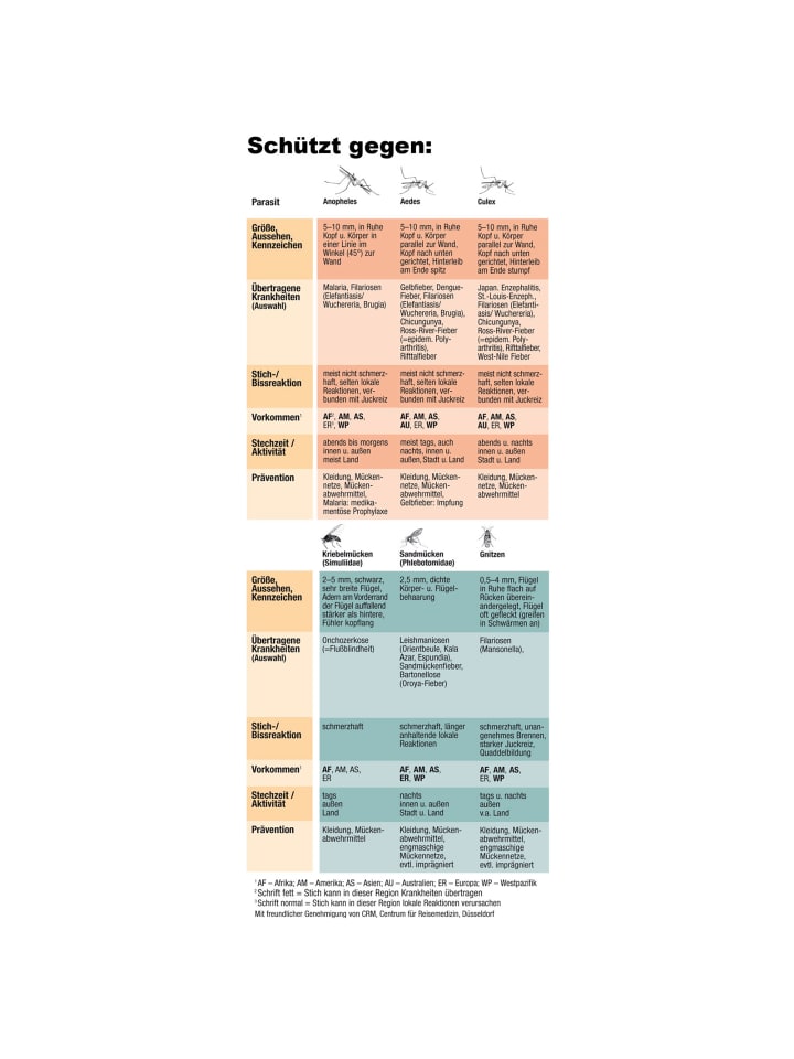 Moskitonetz für Kopf und Nacken