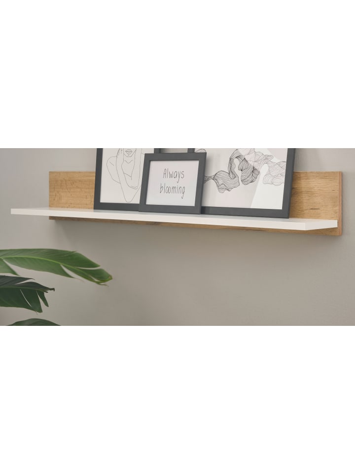 Aktenregal Weiß matt, Eiche Wotan 100 cm, Wandregal für Homeoffice und Büro