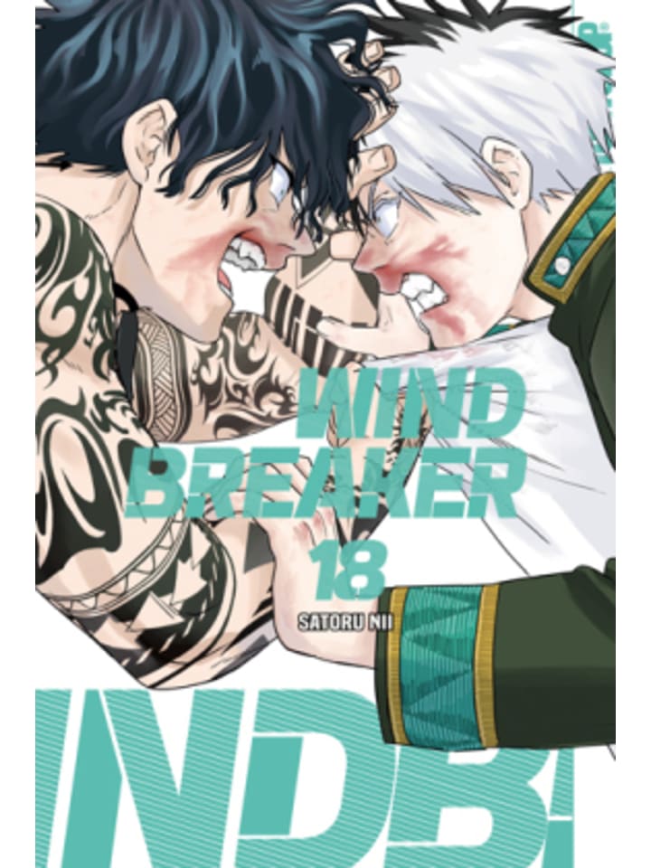 Buch - Wind Breaker 18