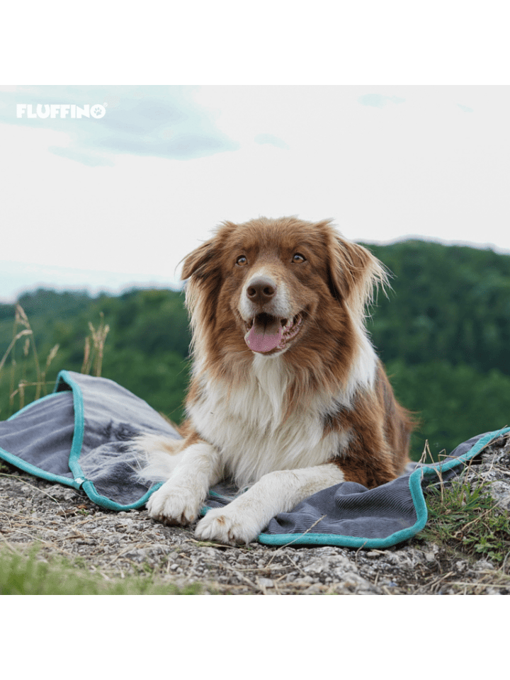 FLUFFINO® Kofferraumschutz für Hund inkl. Seiten