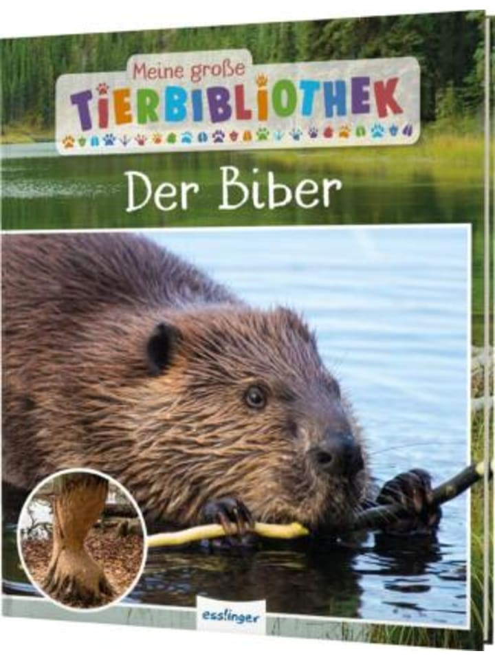 Buch - Meine große Tierbibliothek: Der Biber