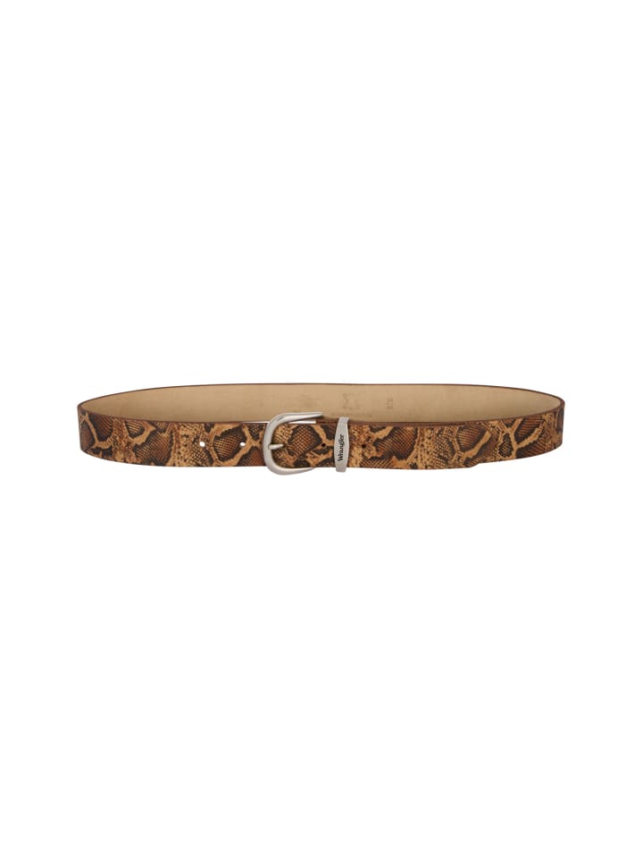 Gürtel Snake in Brown